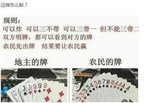 吃瓜太多搞笑文案,搞笑文案盘点