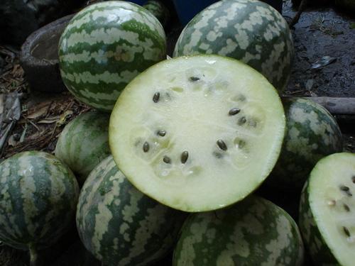 山东绿宝瓜怎样吃,山东绿宝瓜的多彩食法探索