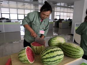 喜悦楼吃瓜,揭秘网红吃瓜背后的欢乐盛宴