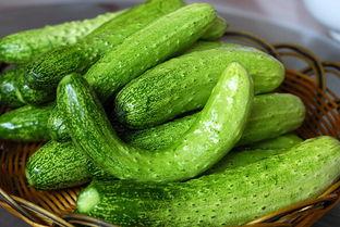 校园吃瓜黄瓜条,黄瓜条成校园新宠