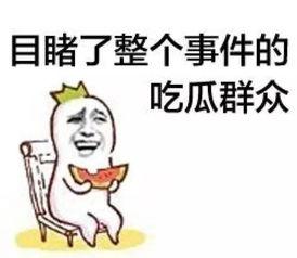 吃瓜群众摇摇椅,闲谈娱乐圈风云变幻