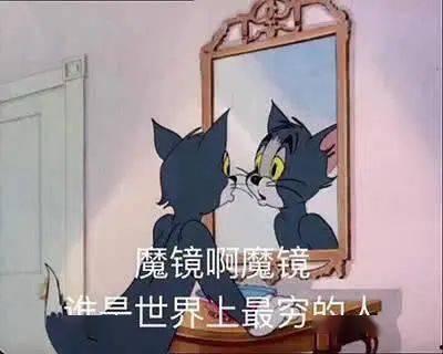 汤姆猫吃瓜群众,揭秘网络红人的幕后生活