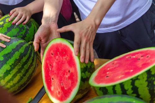 吃瓜群里名称,揭秘“吃瓜群众”背后的趣味与真相