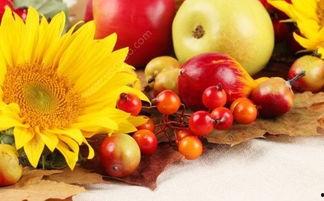 秋天吃若瓜好吗,若瓜美食，健康美味两不误