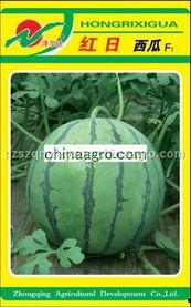 红日紫涵吃瓜,揭秘娱乐圈幕后真相